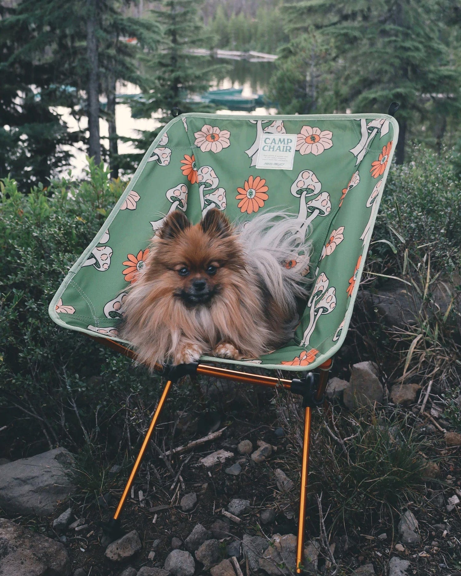 Custom Parks Project Shrooms Packable Camp Chair