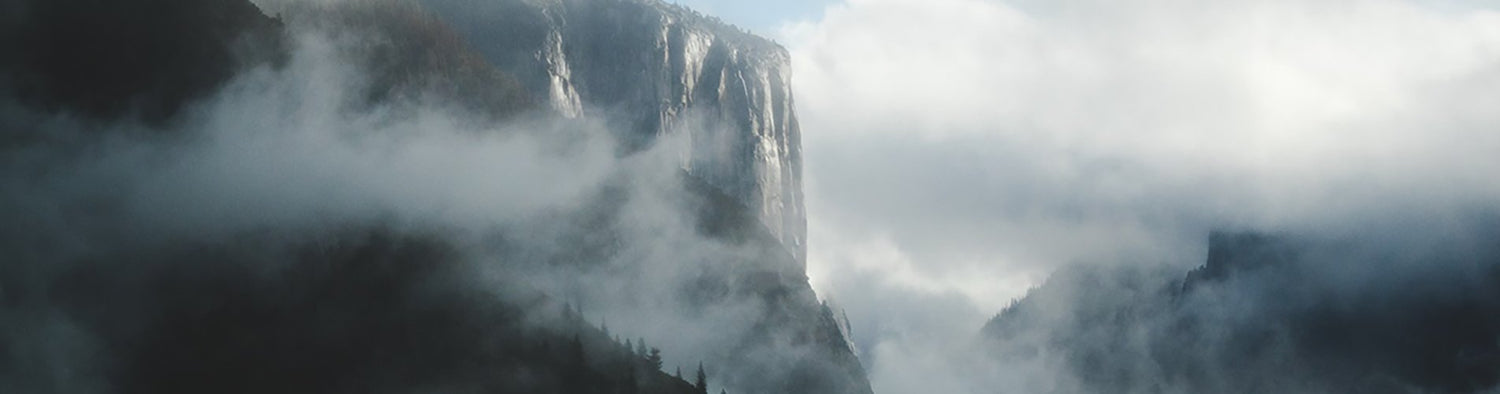 Shop The North Face