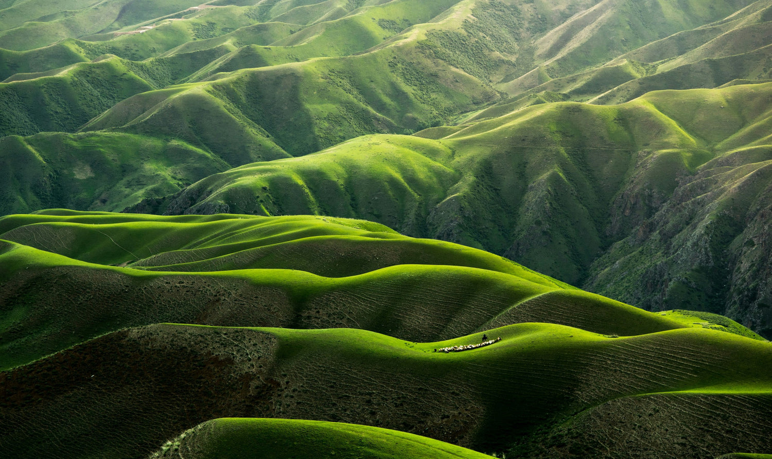 Sustainable