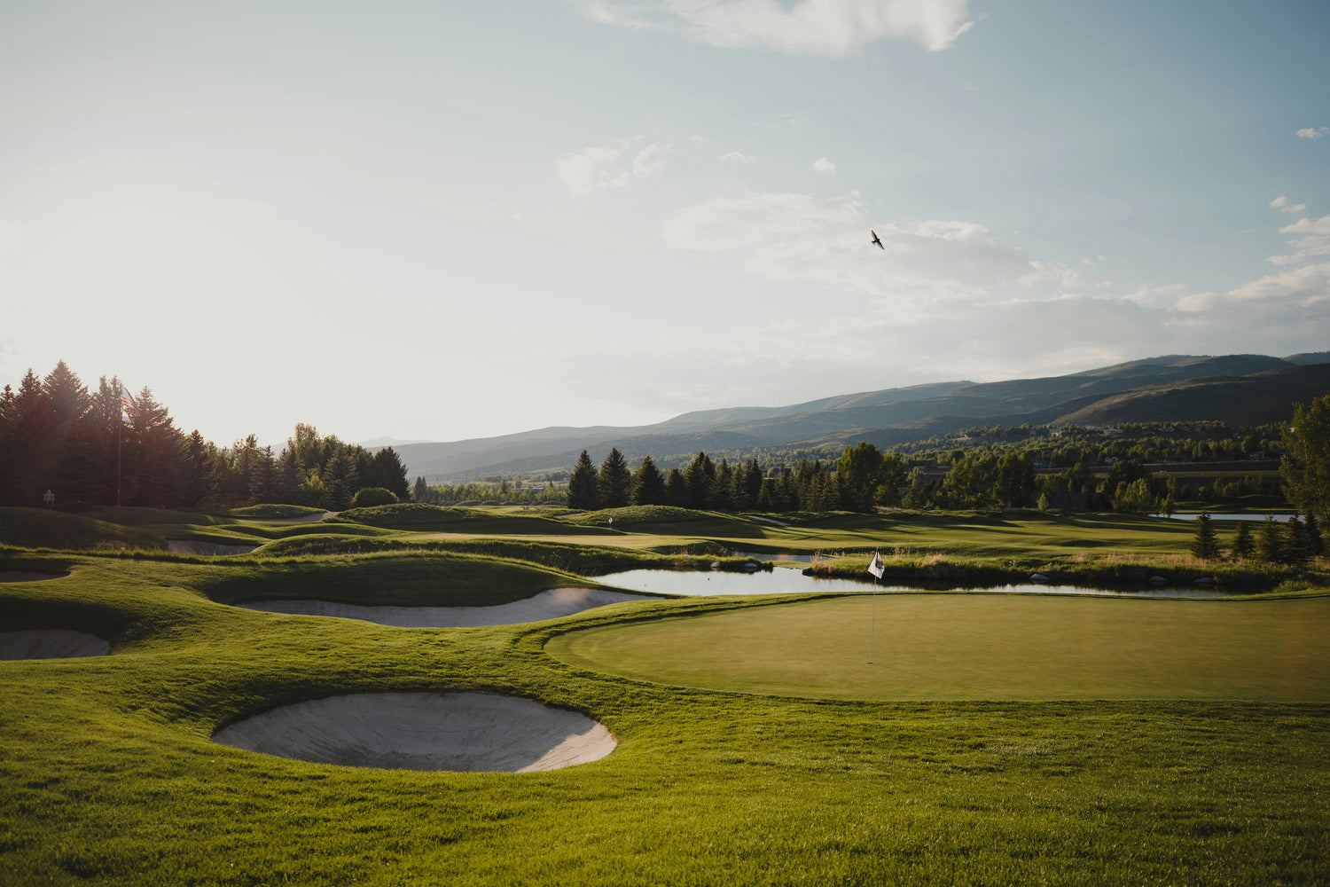 Shop Golf
