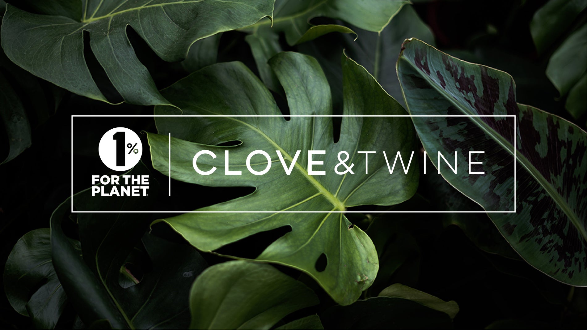 The Clove & Twine Impact