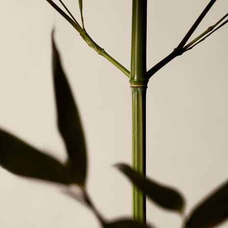 Custom Aesop Geranium Leaf Body Scrub - Corporate Gifts