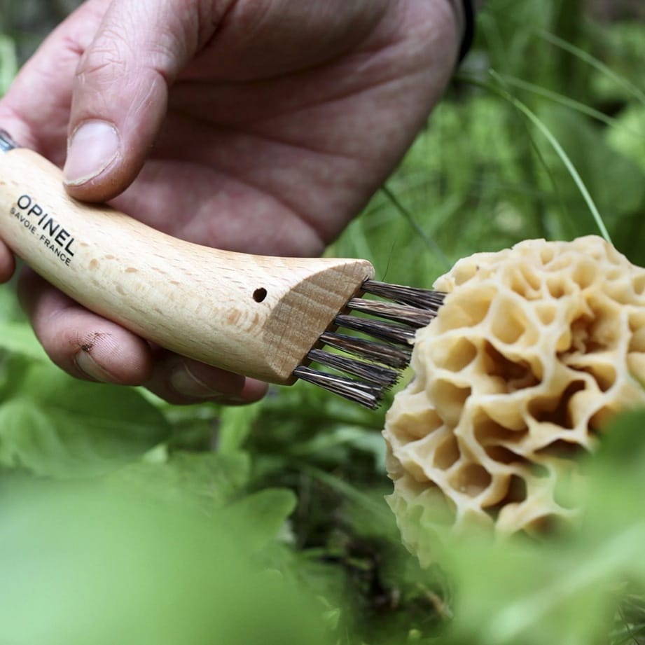 Custom Opinel No. 08 Mushroom Knife with Brush - Corporate Gifts