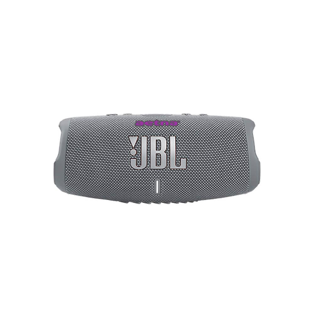 Grey Custom JBL Charge 5 Portable Bluetooth Speaker