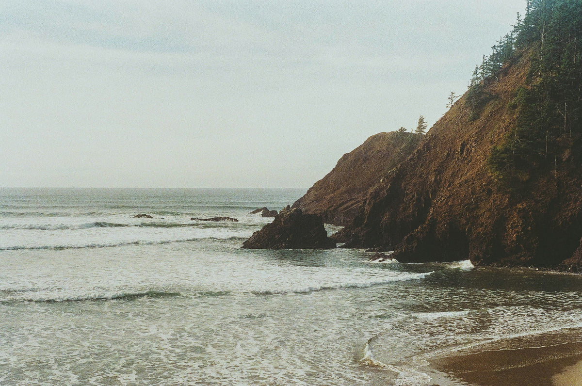 form background featuring a PNW coastline