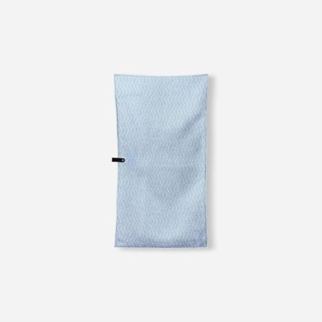 Regenerative Pale Blue