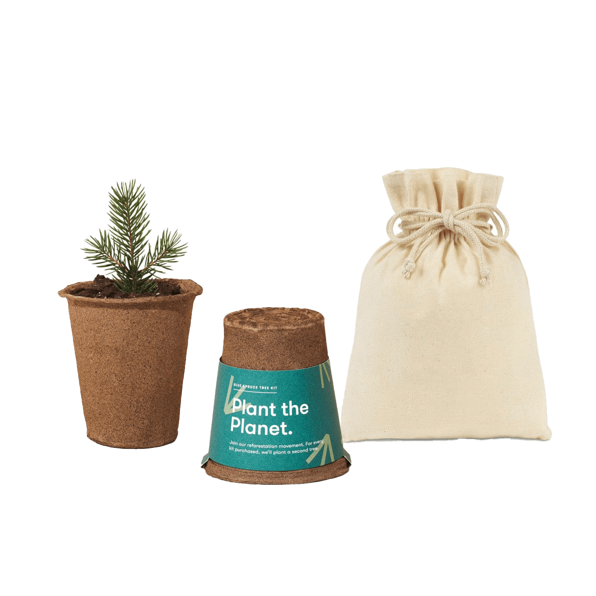 Spruce Custom Modern Sprout One-For-One Tree Kits - Corporate Gifts
