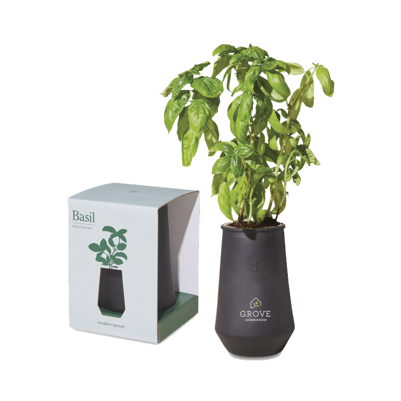 Black/Basil Custom Modern Sprout Tapered Tumblr Grow Kit