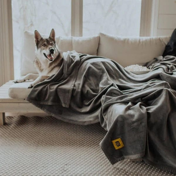 Custom Big Blanket Co Original Stretch Blanket Corporate Gifts C&T