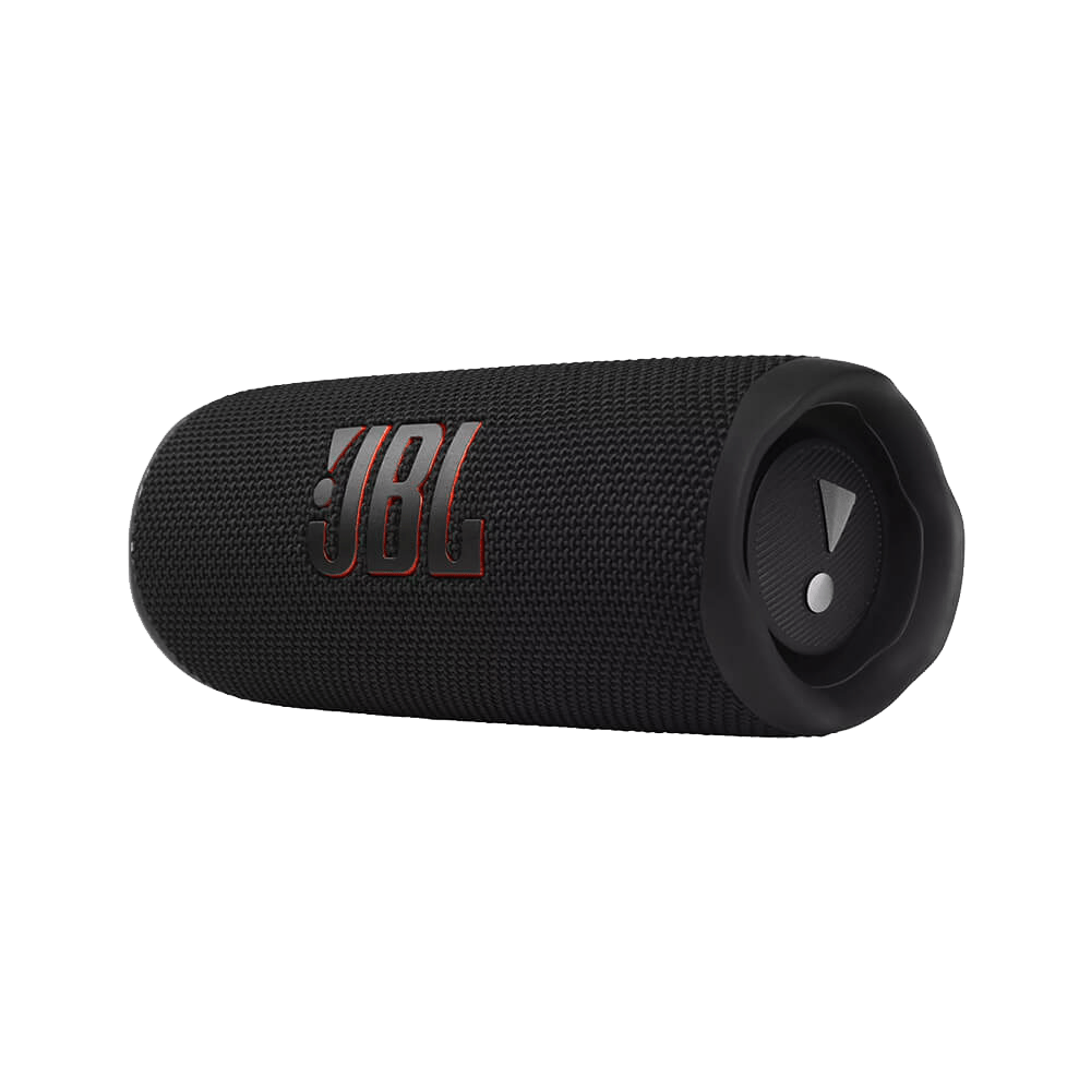 Custom JBL Flip 6 Portable Speaker