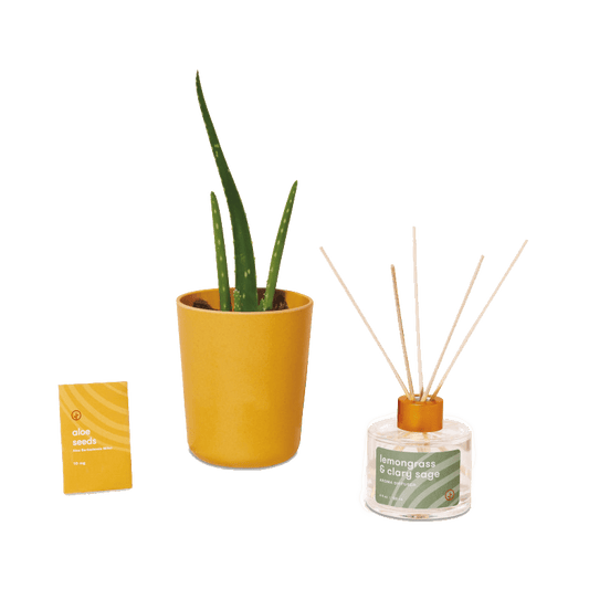 Custom Modern Sprout Take Care Kit