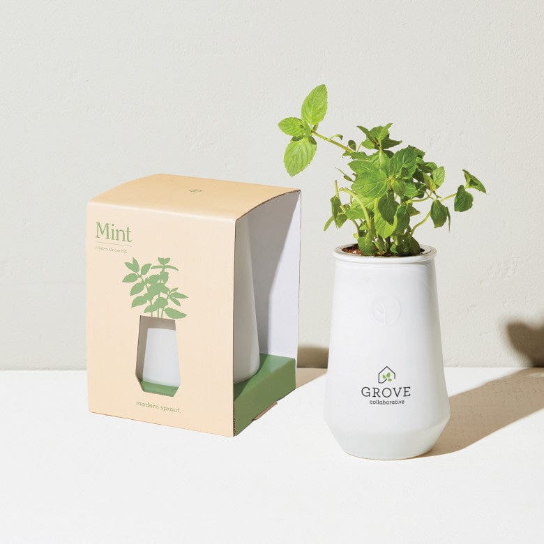 Custom Modern Sprout Tapered Tumblr Grow Kit