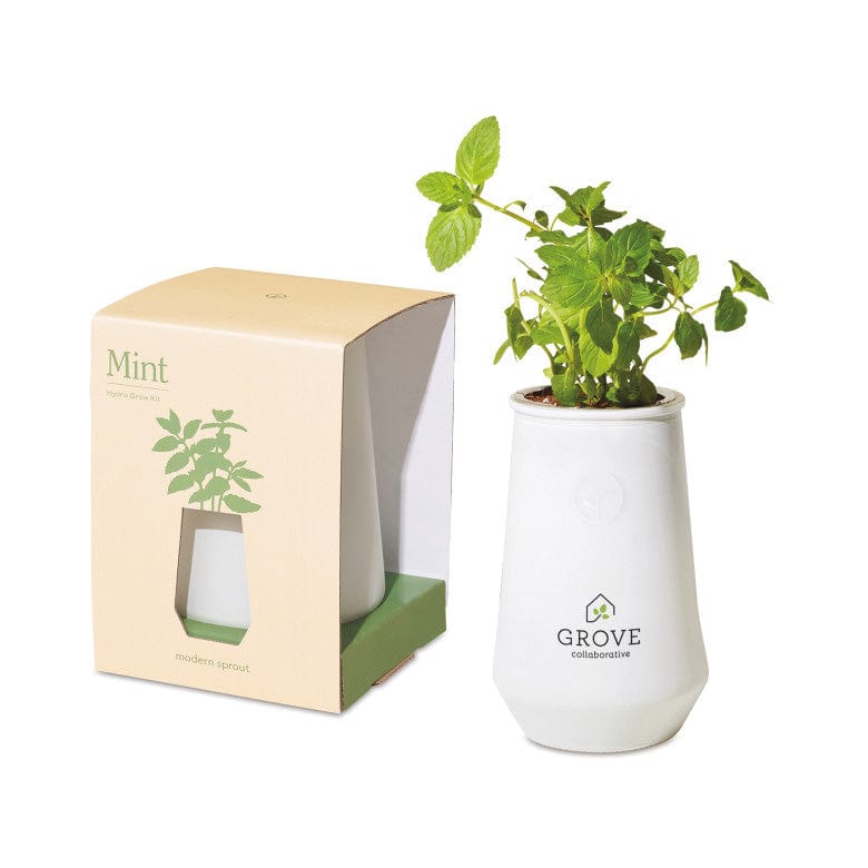 White/Mint Custom Modern Sprout Tapered Tumblr Grow Kit